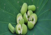 莲蓬籽能不能吃生的 莲蓬籽有什么功效 应该怎么吃