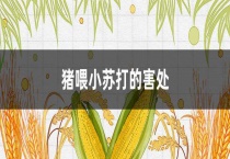 猪喂小苏打的害处