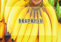 香蕉和芭蕉的区别？