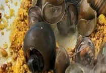 福寿螺有哪些危害 鸭吃会得病吗？