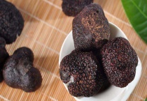 松露是什么植物