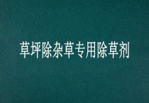 草坪除杂草专用除草剂