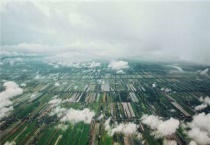 农林牧渔业指的是什么？