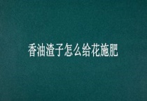 香油渣子怎么给花施肥