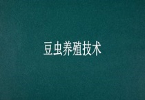 豆虫养殖技术