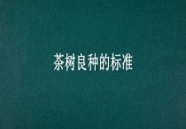 茶树良种的标准