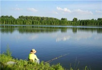 鱼饵老三样是哪三样