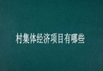 村集体经济项目有哪些？