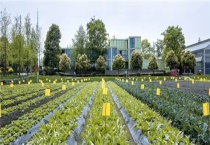 数字农业与智慧农业区别？