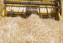 废弃农作物秸秆有哪些价值 让它变废为宝的方法是什么？