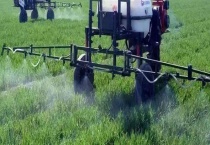 井冈霉素打蔬菜可行吗 井冈霉素的特点是什么？