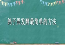 鸽子粪发酵最简单的多久？