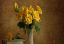 黄玫瑰代表分手吗？