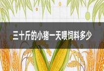 三十斤的小猪一天喂饲料多少？