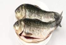 钓鲫鱼实用技巧大全 附钓点选择