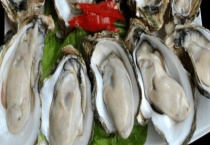 贝壳类的繁殖方式 常见的食用贝壳类有哪些？