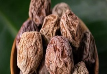 梅子的产地分布 产地环境