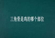 三角骨是鸡的哪个部位