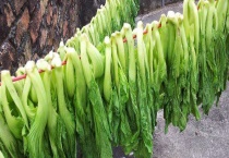 梅菜是不是雪里红 附雪里红的腌制多久？