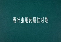 卷叶虫用药最佳时期