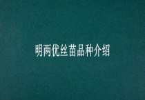 明两优丝苗品种介绍