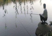 一杯饵料需要多少拉丝粉 具体因水情、鱼情、饵料、上饵方式不同而不同