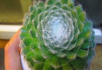 蛛丝卷绢没丝了怎么办？