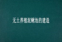 无土养殖泥鳅池的建造