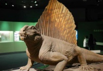 会游泳的恐龙叫什么？