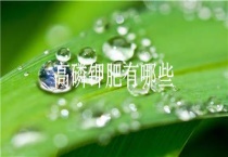 高磷钾肥有哪些？