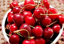 车厘子什么时候开花结果