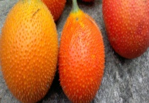 木鳖果能不能生吃 木鳖果有什么效果和作用