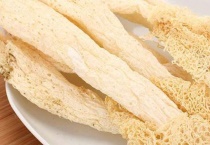 山珍之王是什么菌类