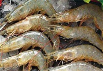 青虾养殖亩利润多少？