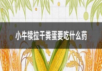 小牛犊拉干粪蛋要吃什么药