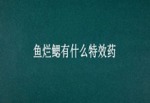 鱼烂鳃有什么特效药