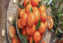 沙糖桔七月份施什么肥