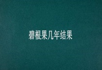 碧根果几年结果
