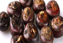 荸荠产地是哪里 适合生长在什么环境中