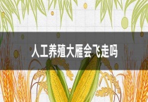 人工养殖大雁会飞走吗？