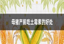 母猪产前吃土霉素的好处