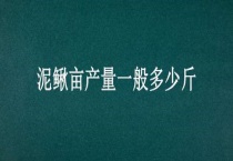 泥鳅亩产量一般多少斤