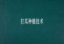 打瓜种植技术