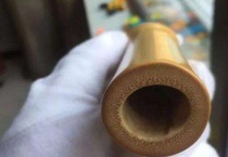 竹子有实心的吗？