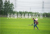 灭幼脲和虱螨脲的区别？