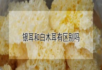 银耳和白木耳有区别？吗？