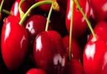 佳红和雷尼樱桃区别？