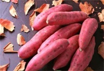 红薯根腐烂是什么原因？