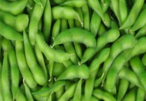 毛豆和黄豆有什么不同 毛豆和黄豆的价格怎么样