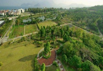 生态农业规划原则和模式 附生态农业的发展现状